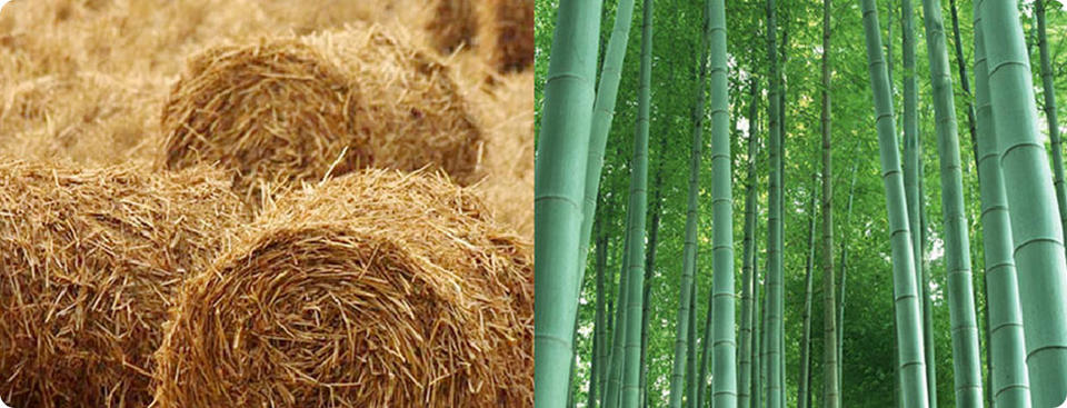 Papel de Pulpa de Bambú